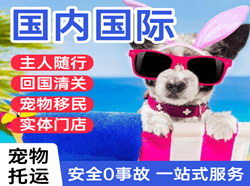 九寨黄龙航空快递国际宠物托运 【国